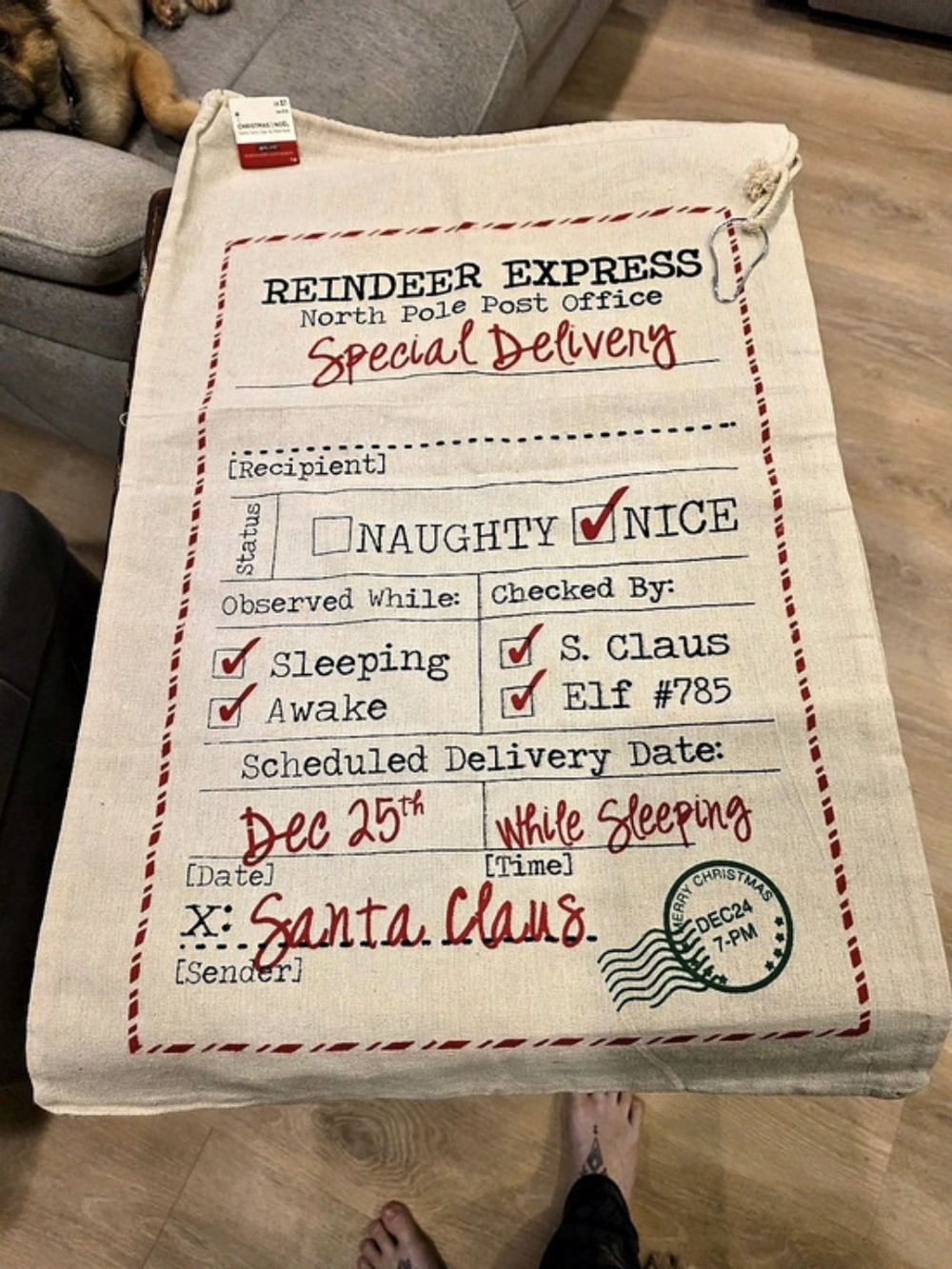 Santa's Delivery Bag
